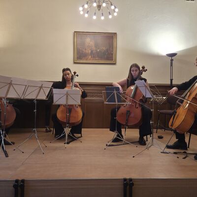 Bild vergr&ouml;&szlig;ern: Celloklasse 2026