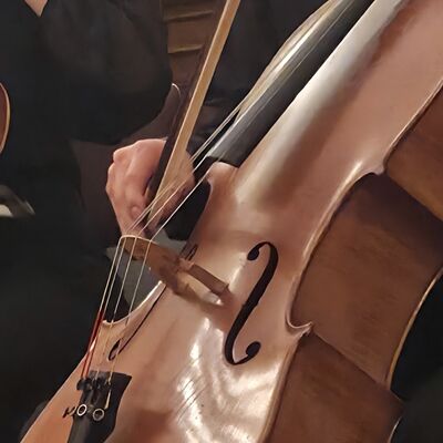 Bild vergr&ouml;&szlig;ern: Celloklasse 2026