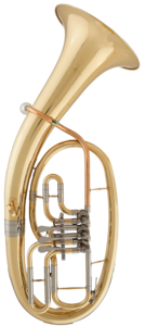 Bild vergr&ouml;&szlig;ern: tenorhorn_frei